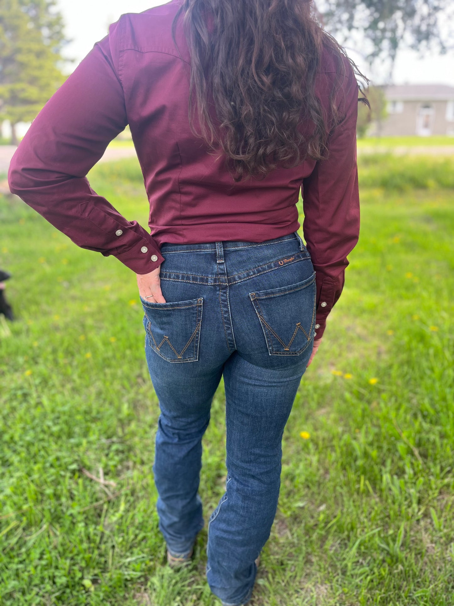 Wrangler retro button up show shirt wine