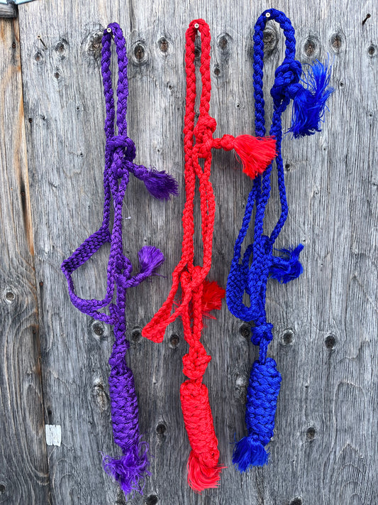 Muletape halters with lead