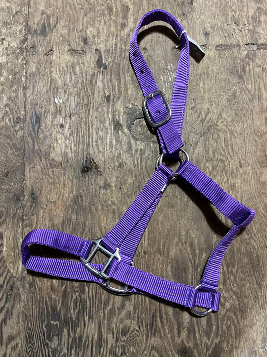 Purple pony halter