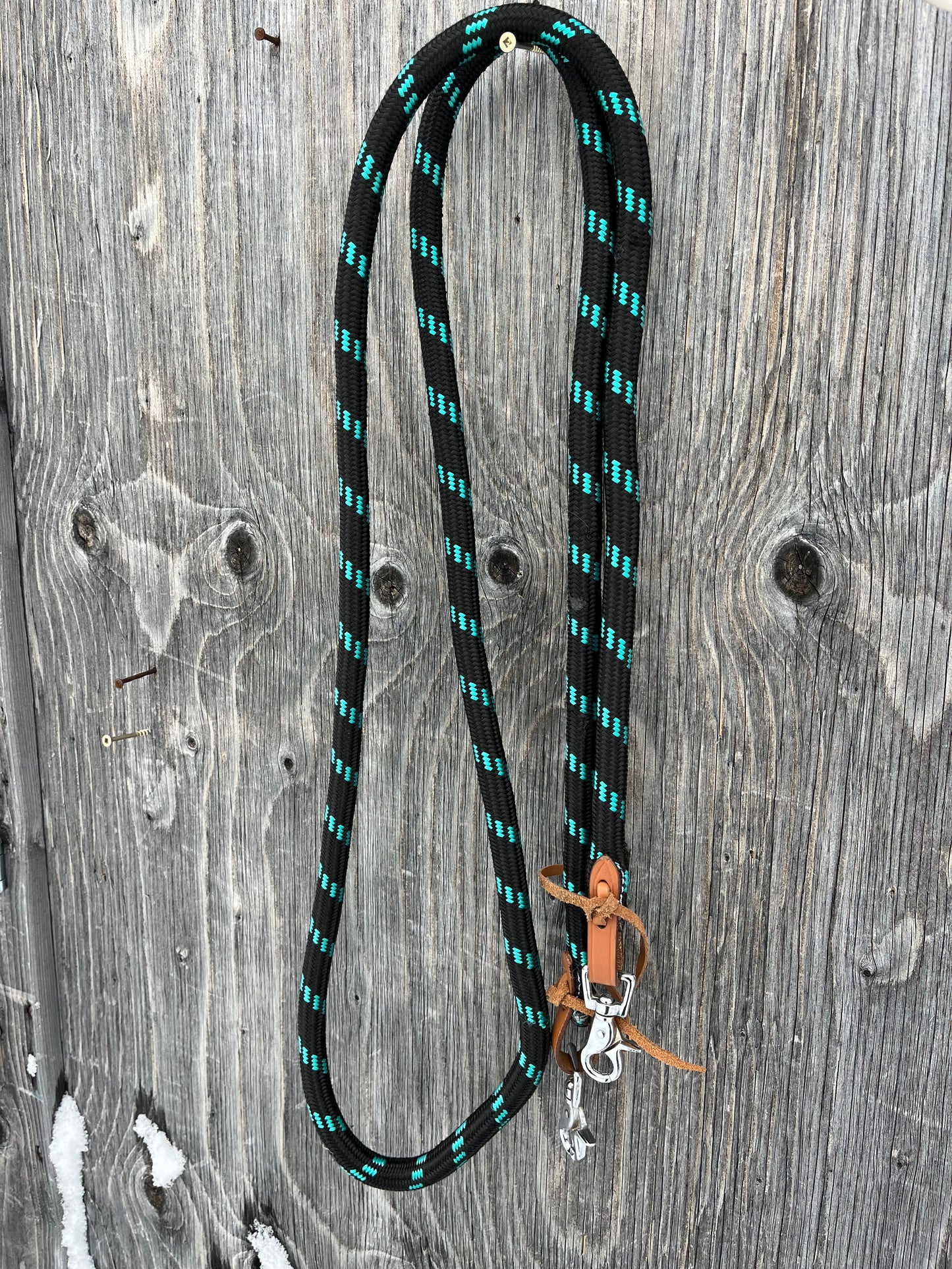 Black and teal clip on reins with snaps