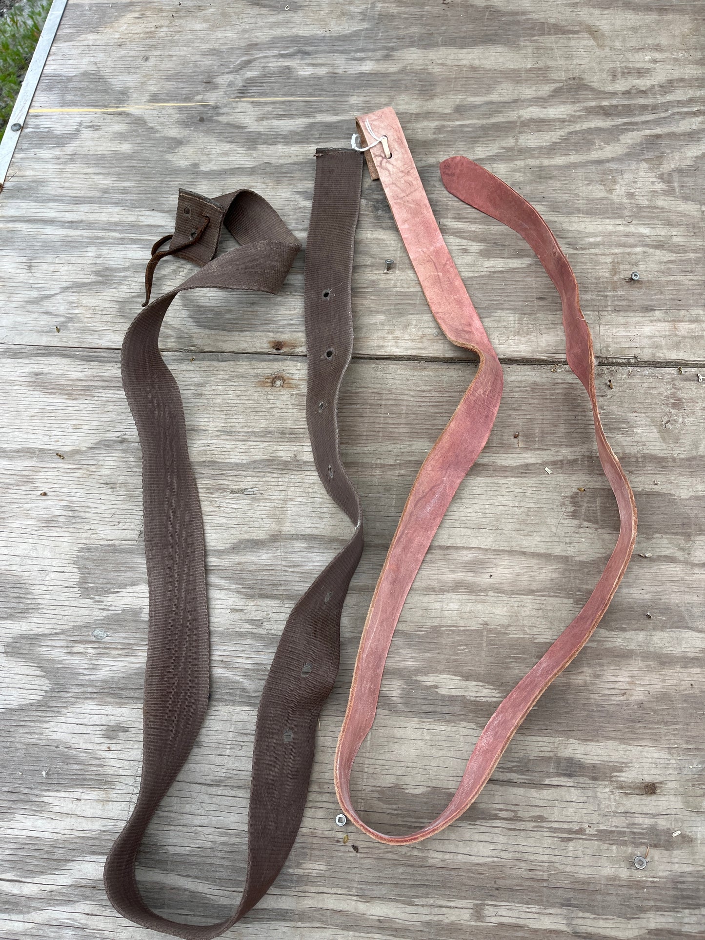 Cheap latigos