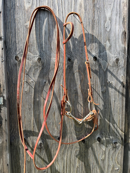 Harness leather headstall set up