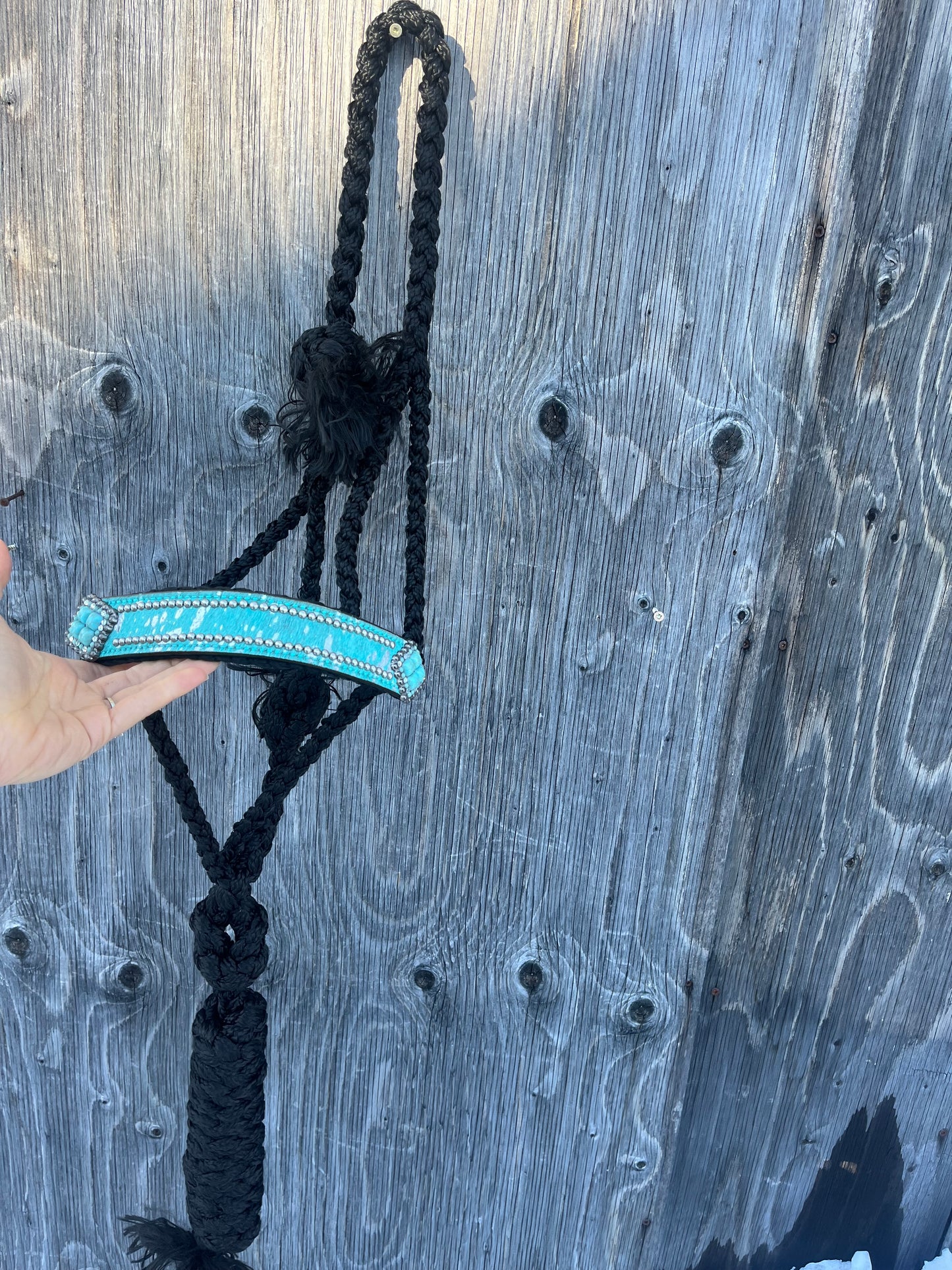 Bronc noseband Muletape halters with lead