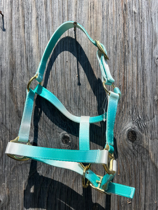 Mini/ foal halter