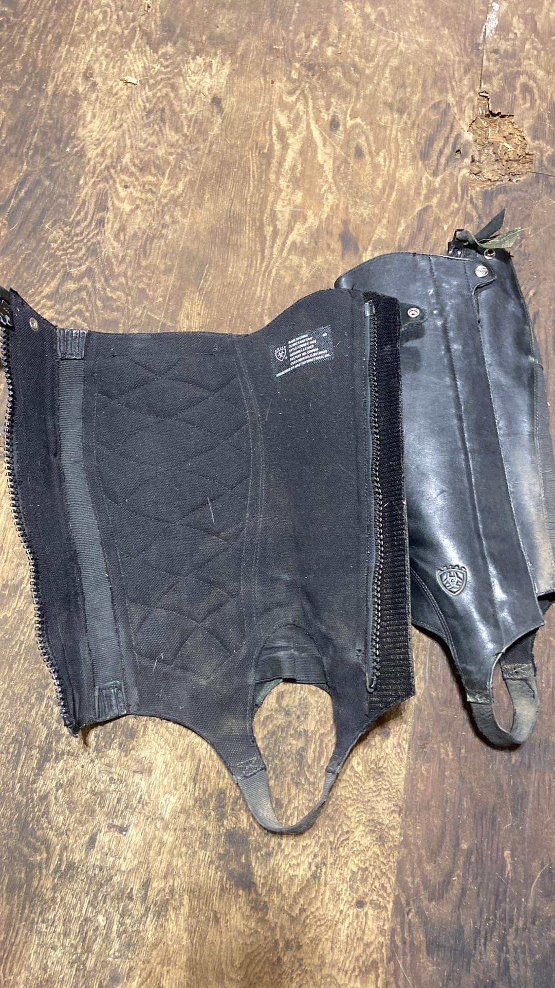 Ariat classic half chaps used