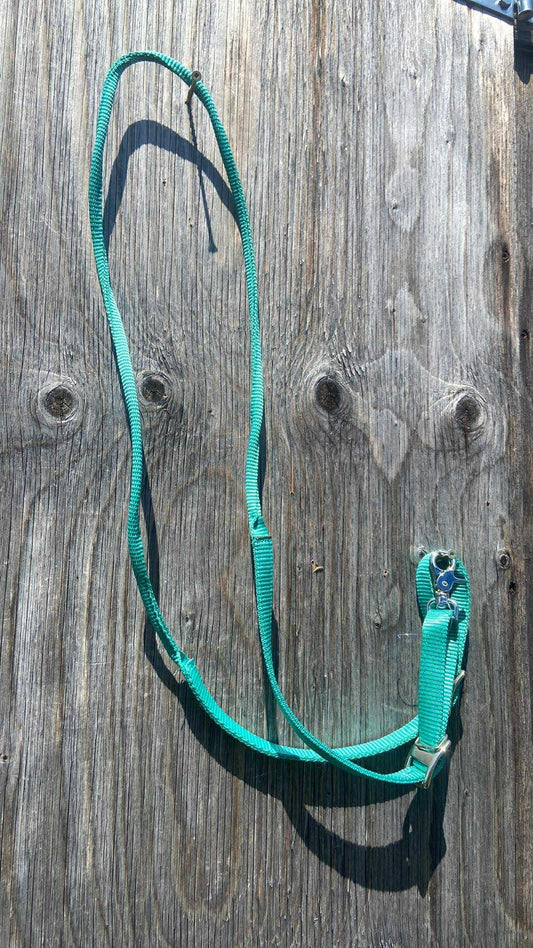 Teal pony youth barrel rein