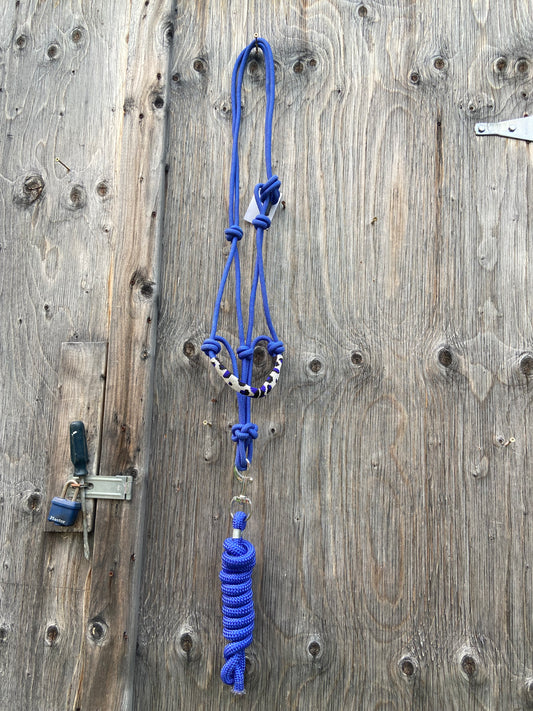Rope halter with lead
