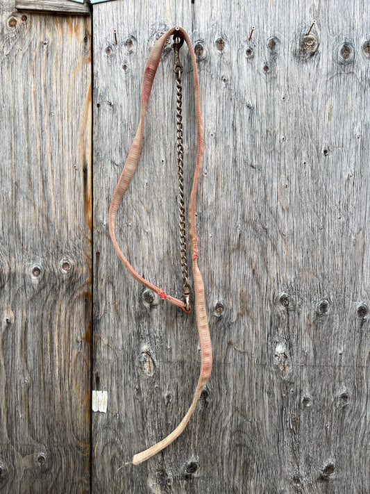 Nylon lead with chain