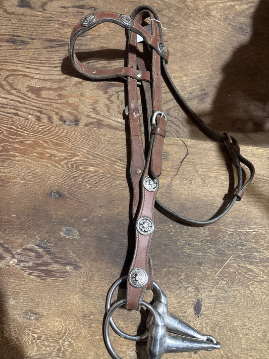 Brownband headstall with bit