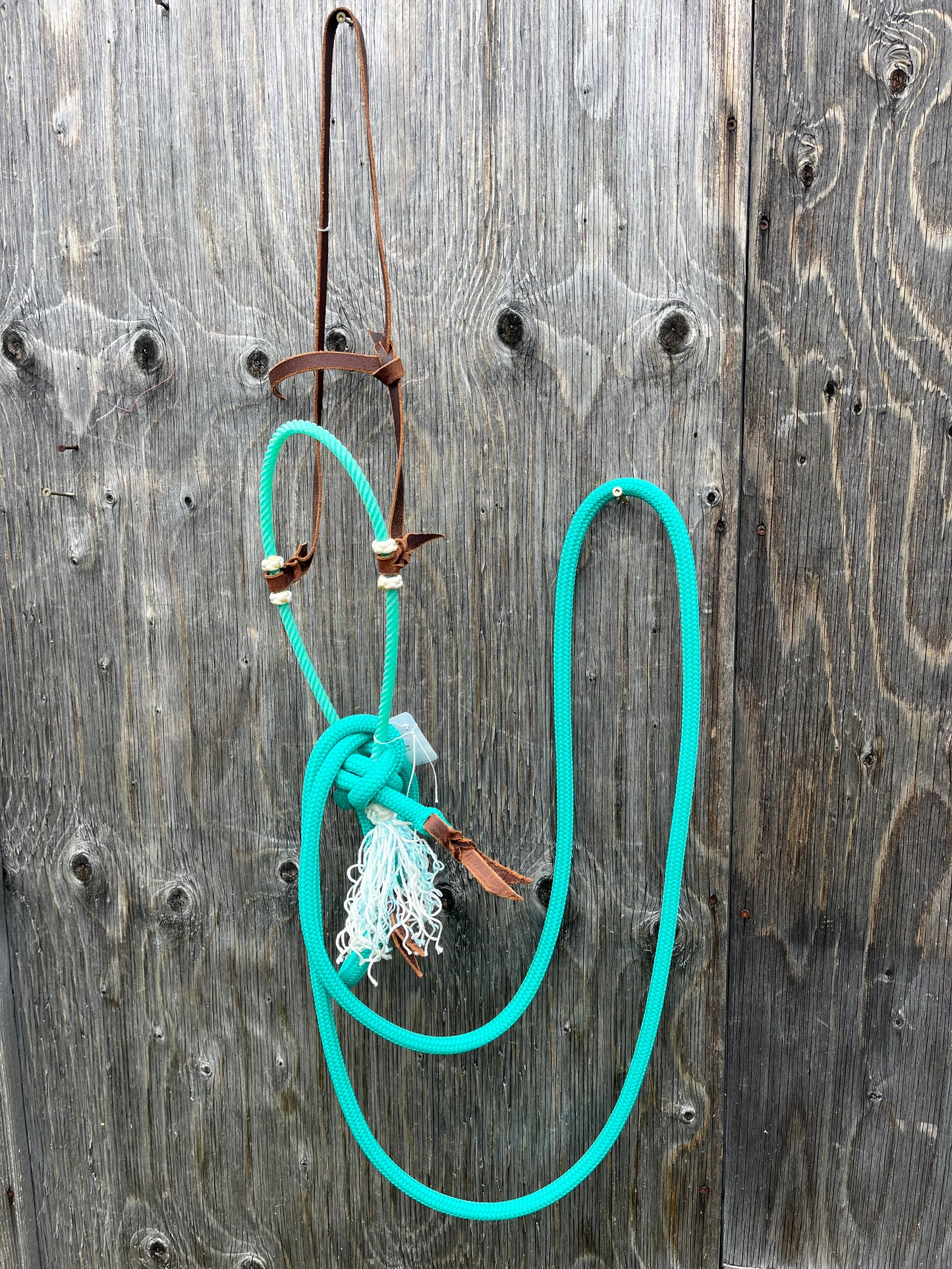 Teal loping hack with single reins