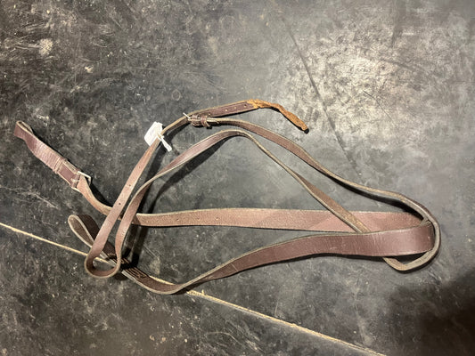 Standing martingale has chew mark cosmetic