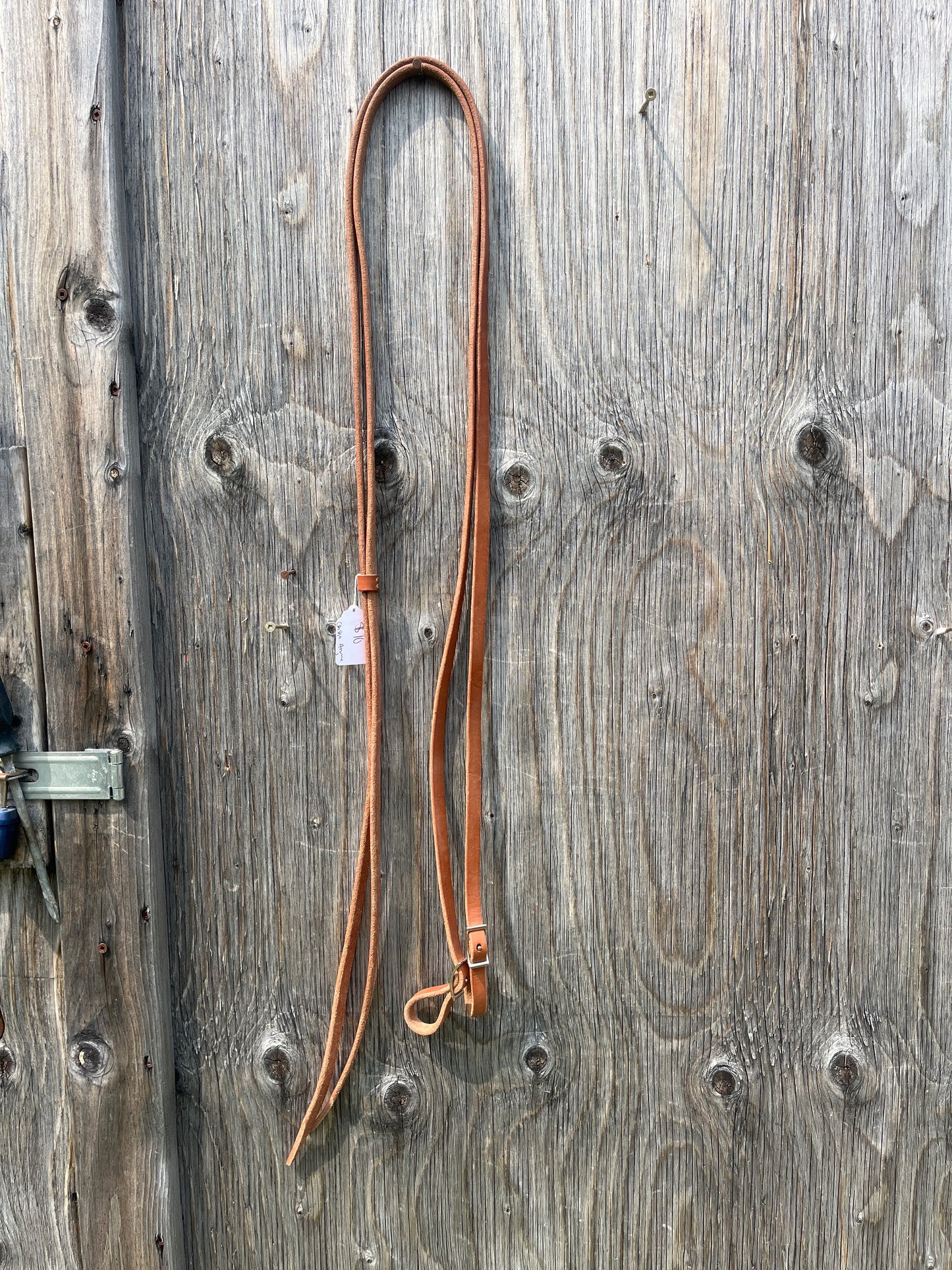 Mini reins