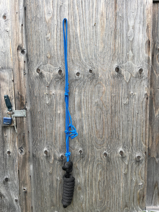 Rope halter and lead