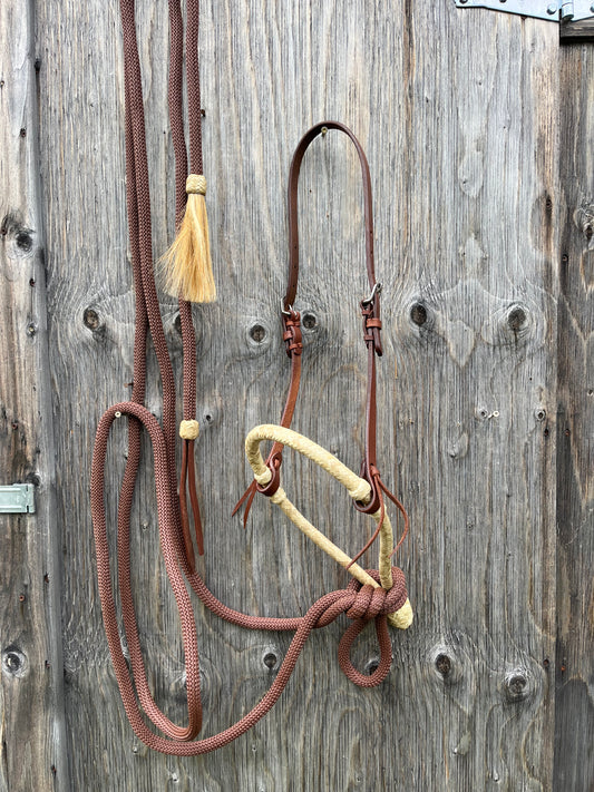 Bosal set with mecate reins