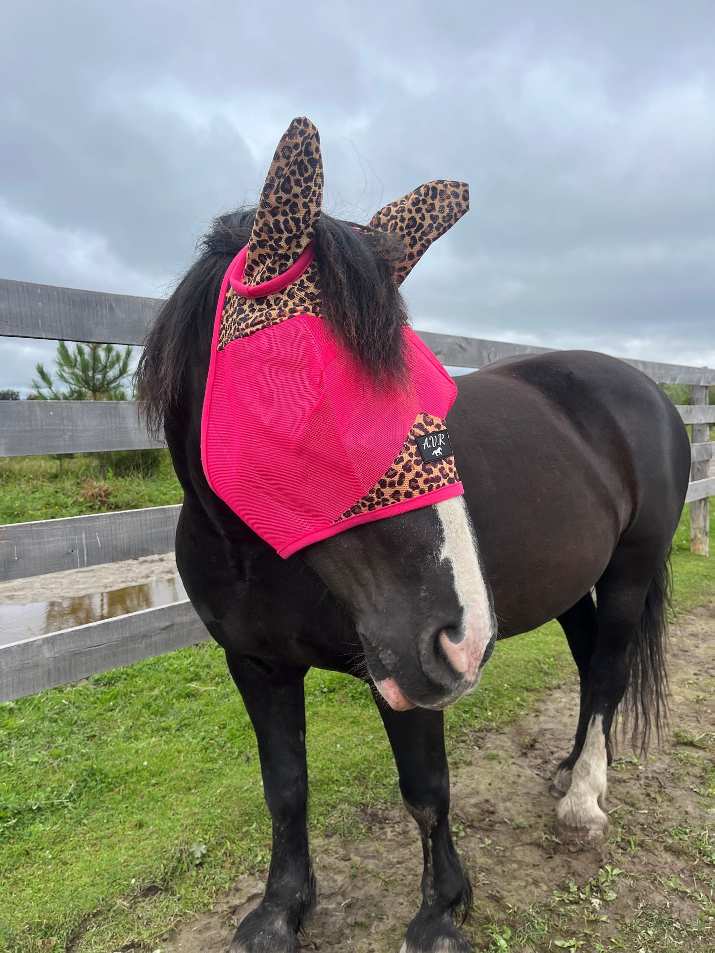 Pink Cheetah durable Mesh Fly masks ears