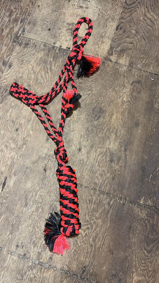 Red and black Muletape halter with lead