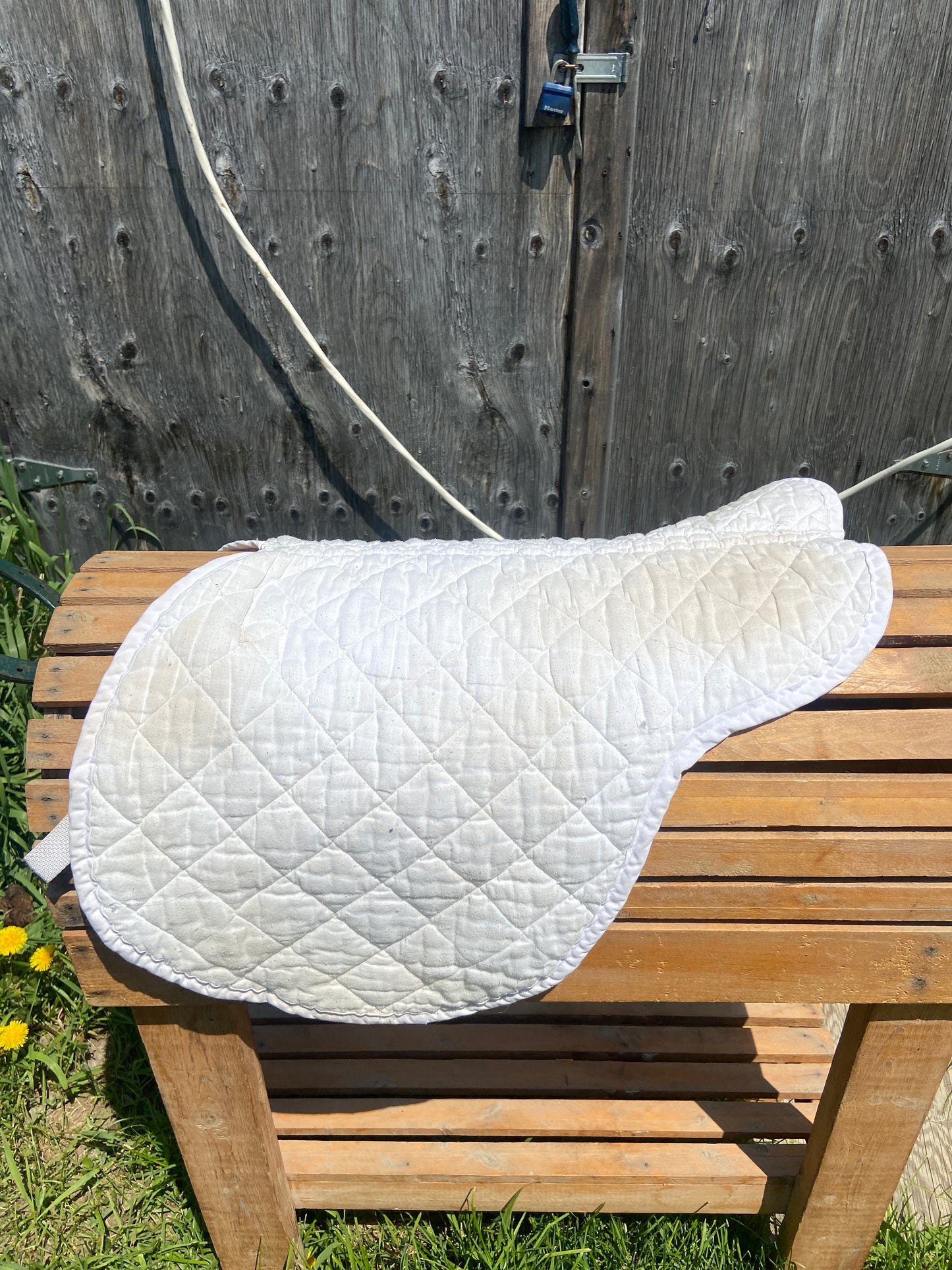 Shaped pad