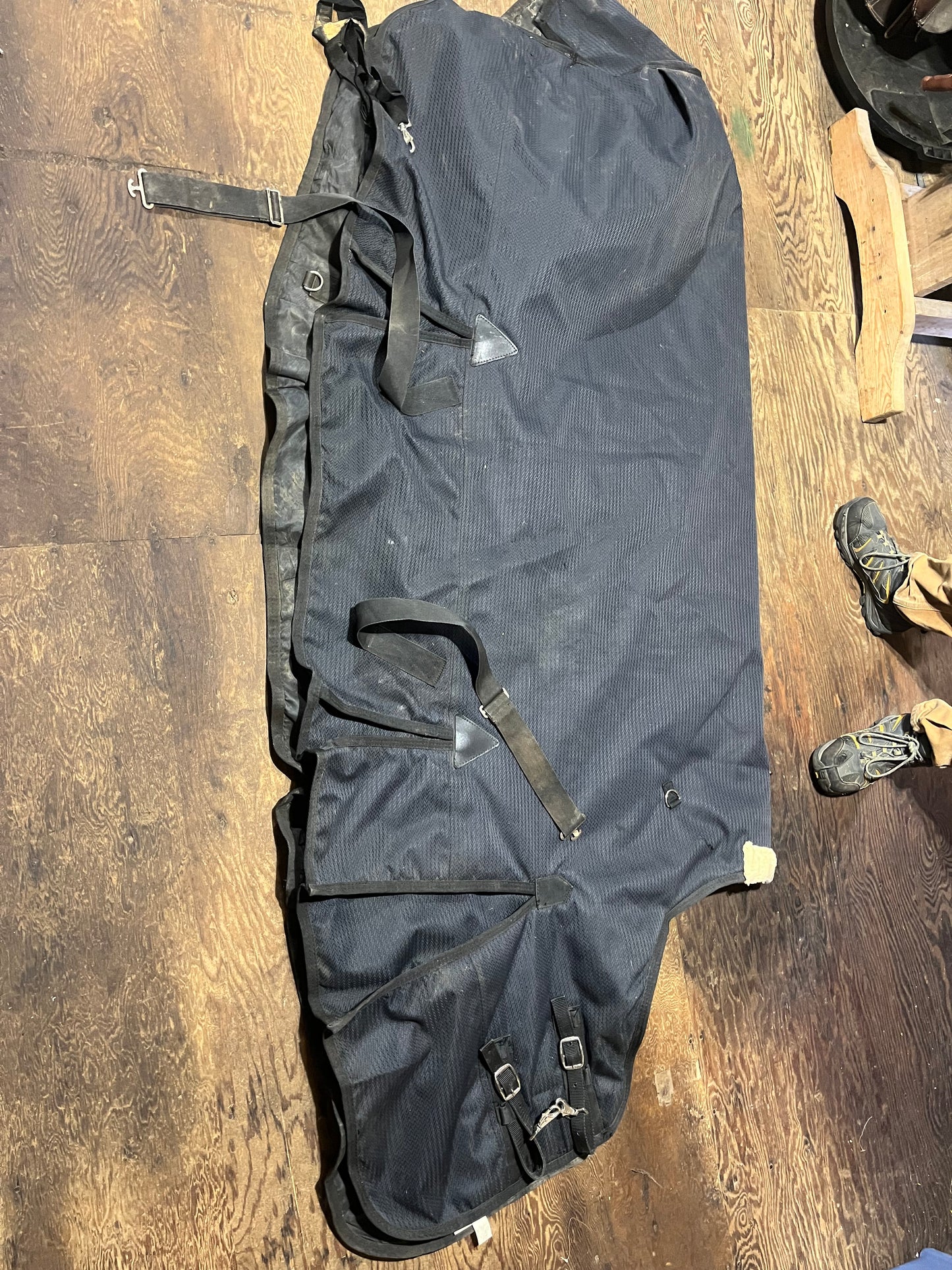 75” winter turnout