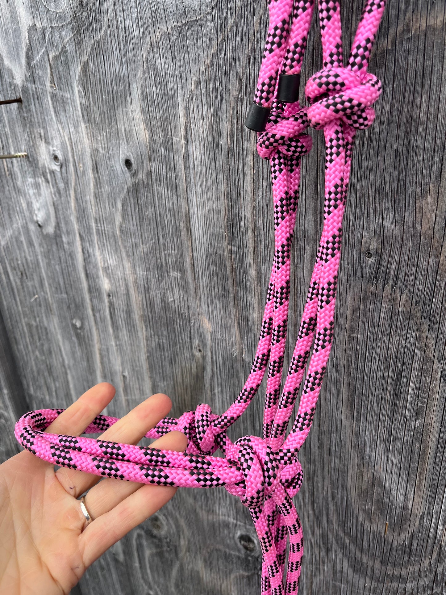 Pink rope halter and lead