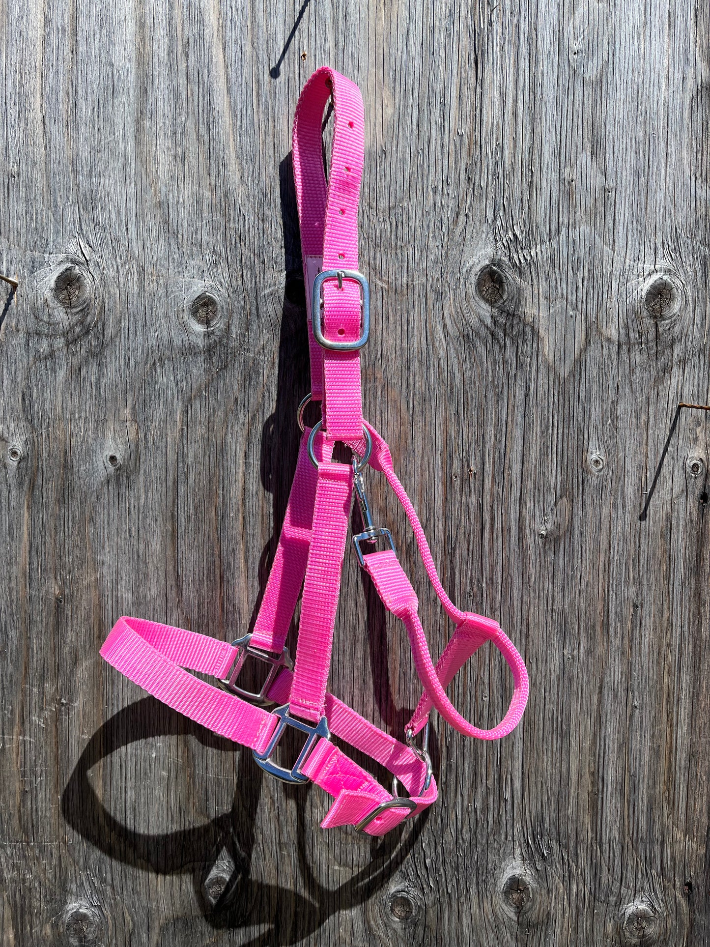 Double ply horse size halters with snap