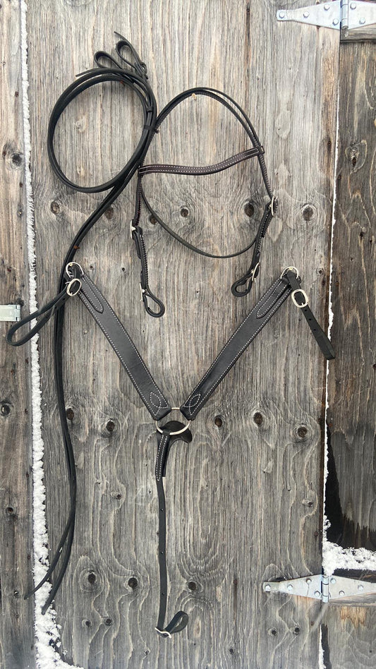 Black tack set with reins