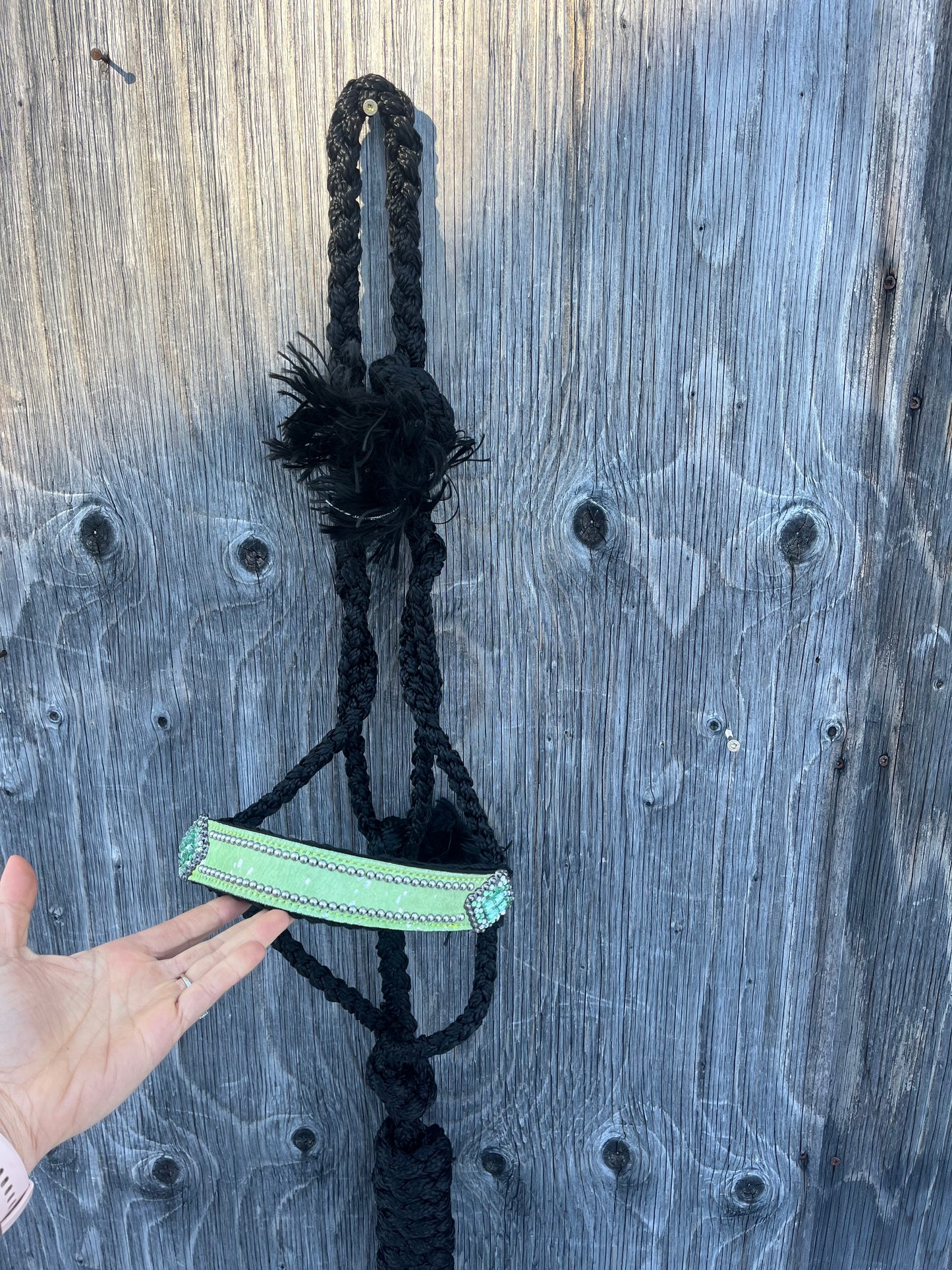 Bronc noseband Muletape halters with lead