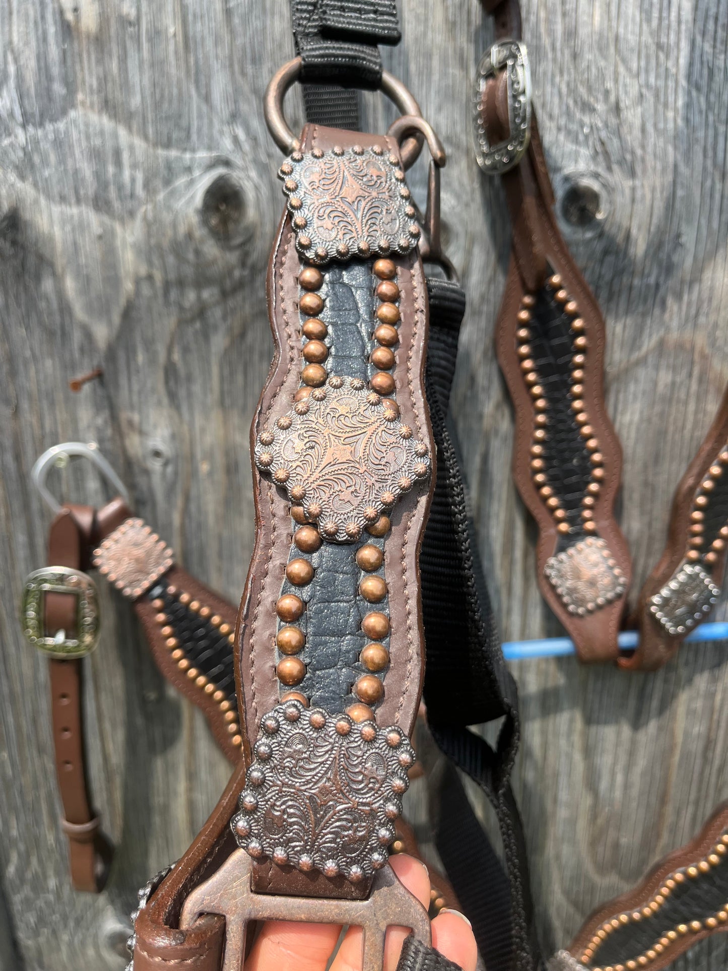 Black 3 piece tack set headstall breastplate and bronc halter