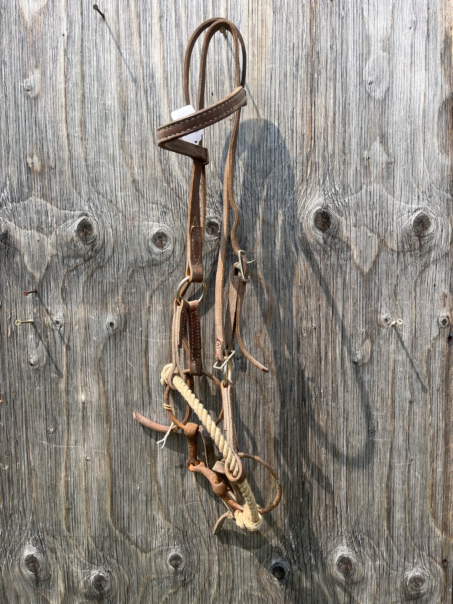 Older sidepull with bit