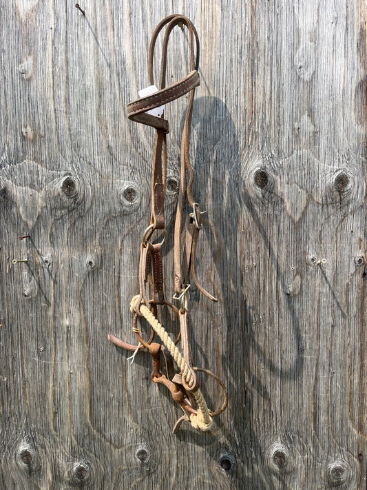 Older sidepull with bit