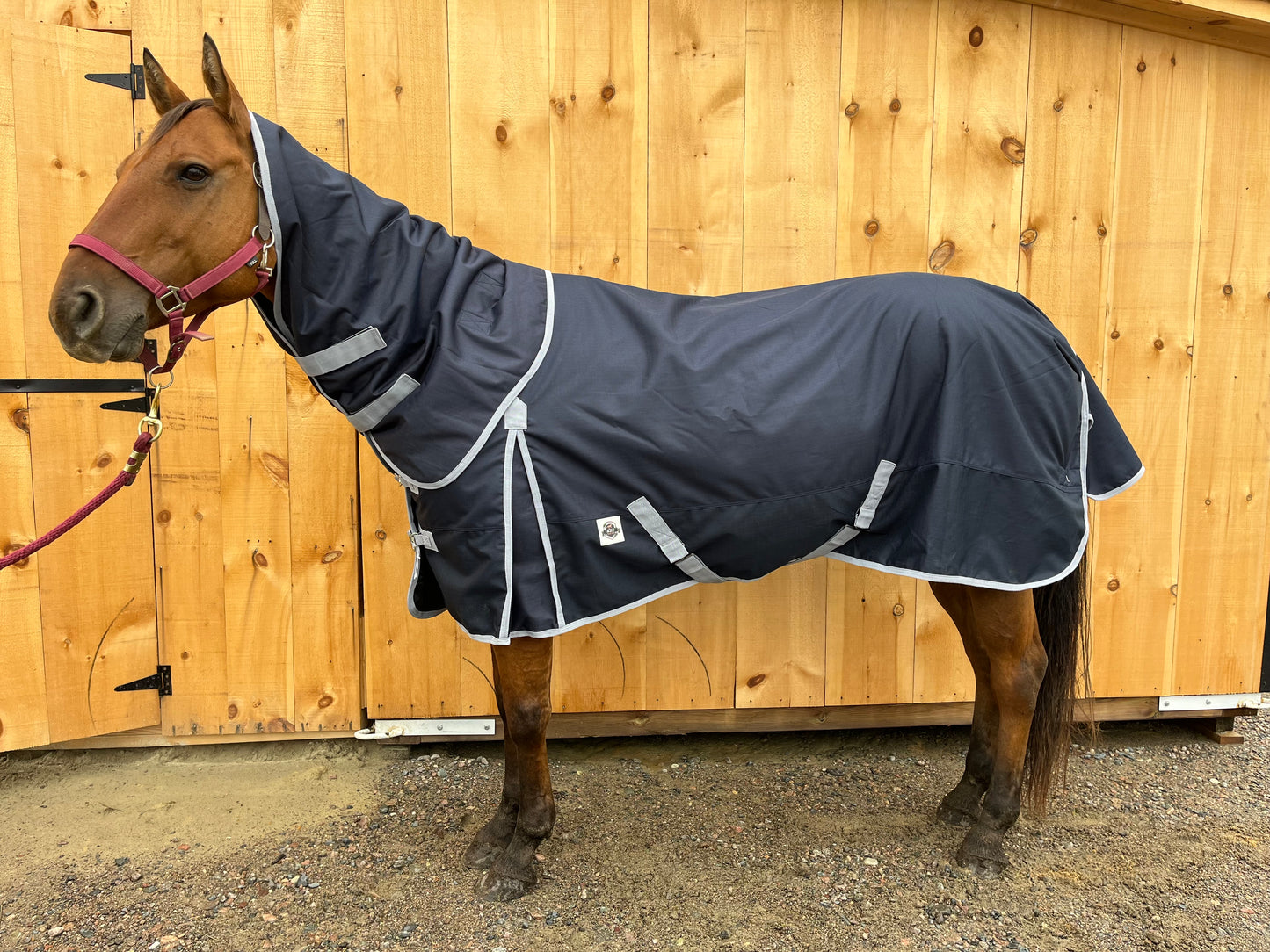 Navy 50 gram light turnout/ insulated rain with removable hood