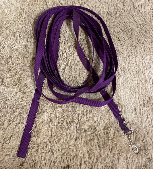Nylon purple lunge line with snap