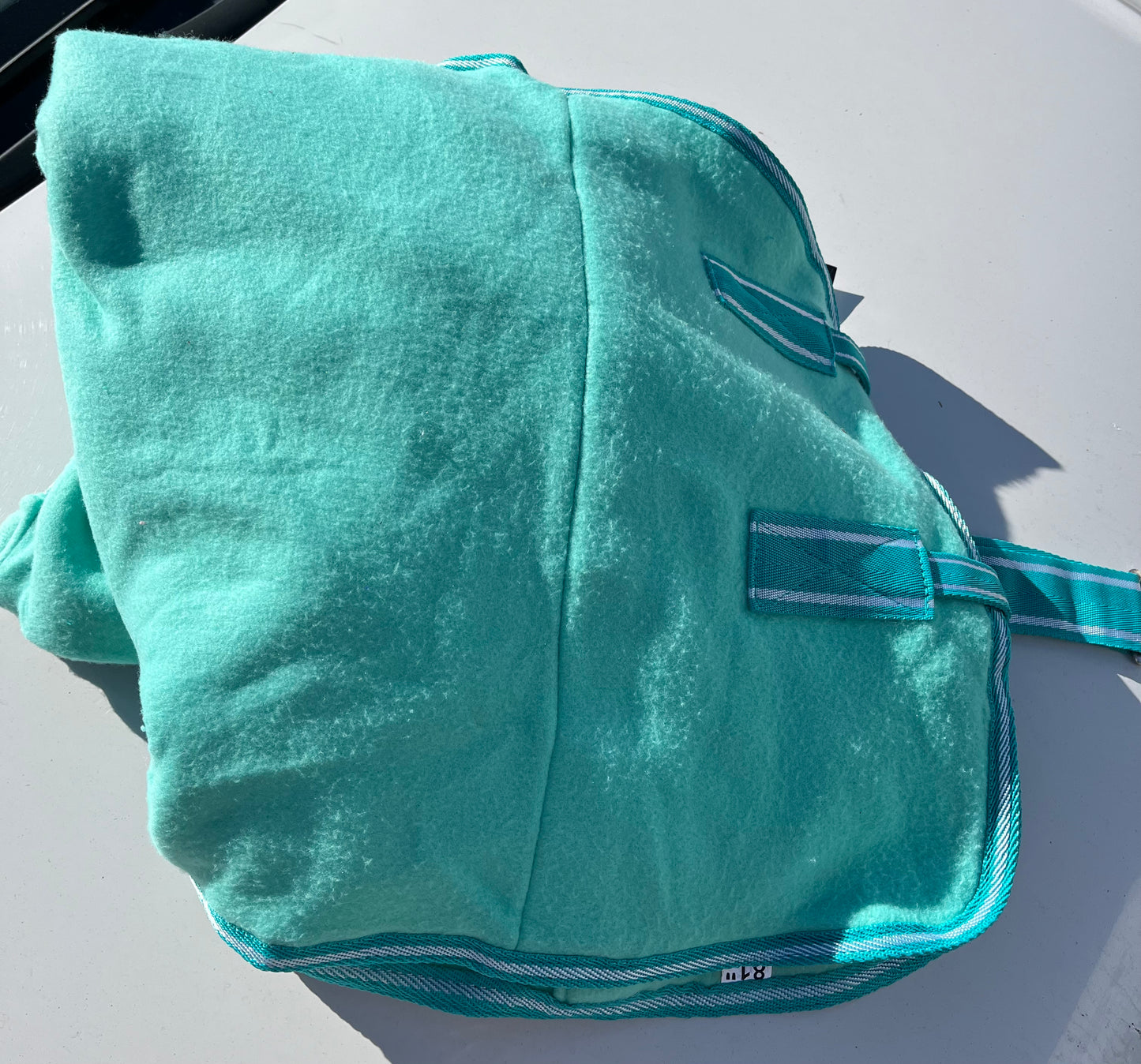 Teal fitted cooler