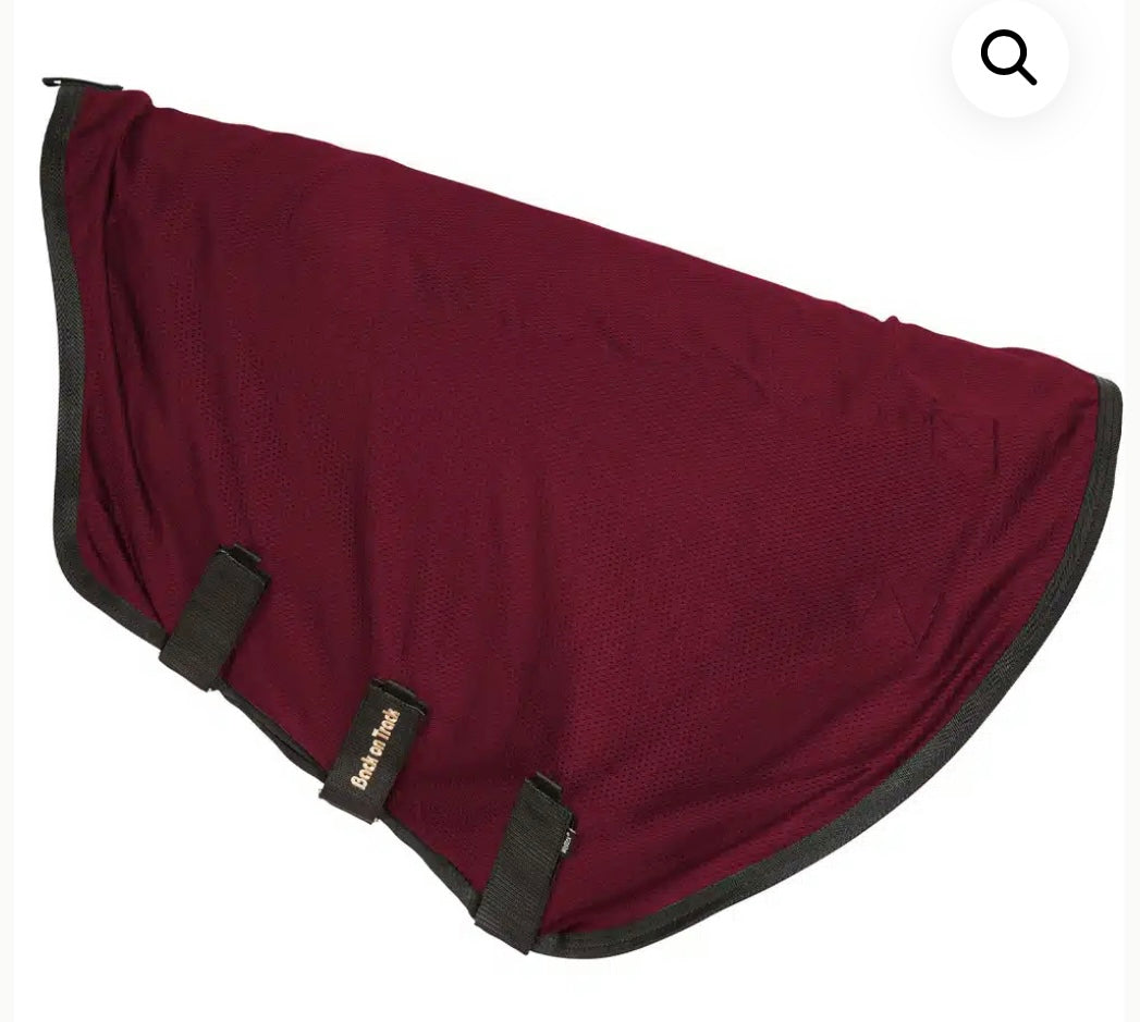 Wine Back On Track Mesh sheet with free neck