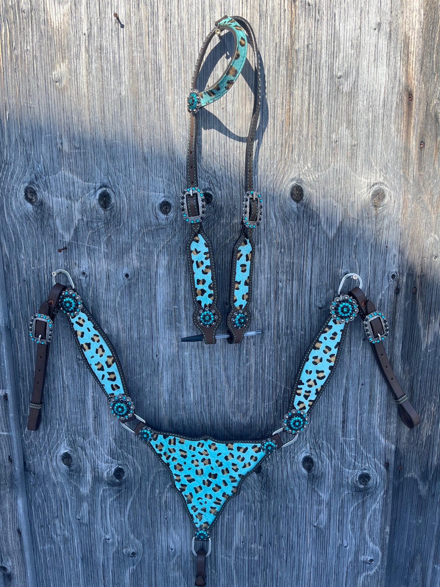 Cheetah gladiator tack set