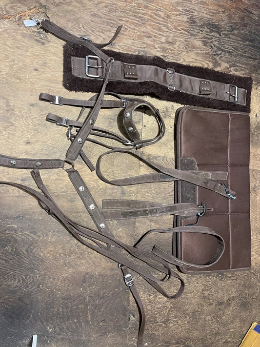 Used full package horse size