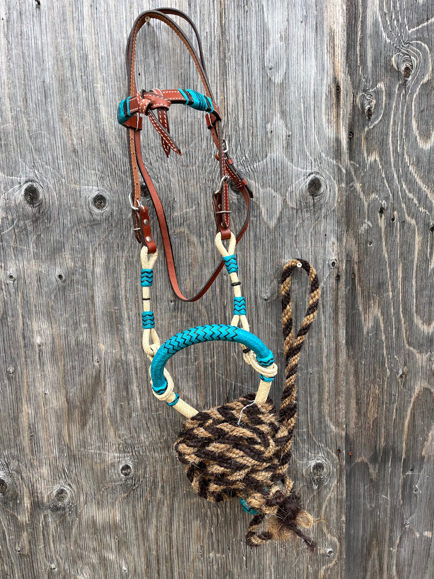 Turquoise bosal set with reins