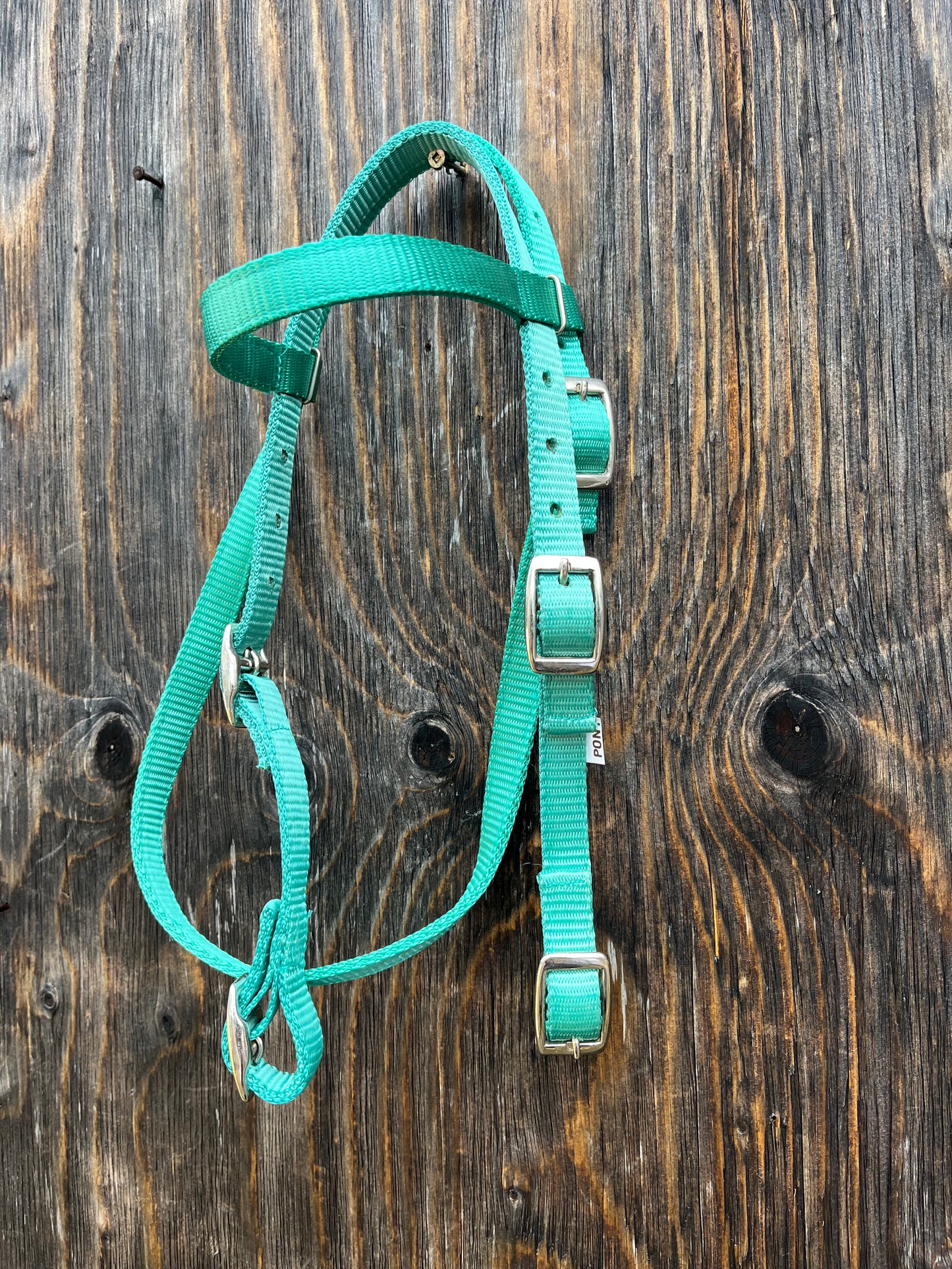 Small Pony teal browband nylon headstall