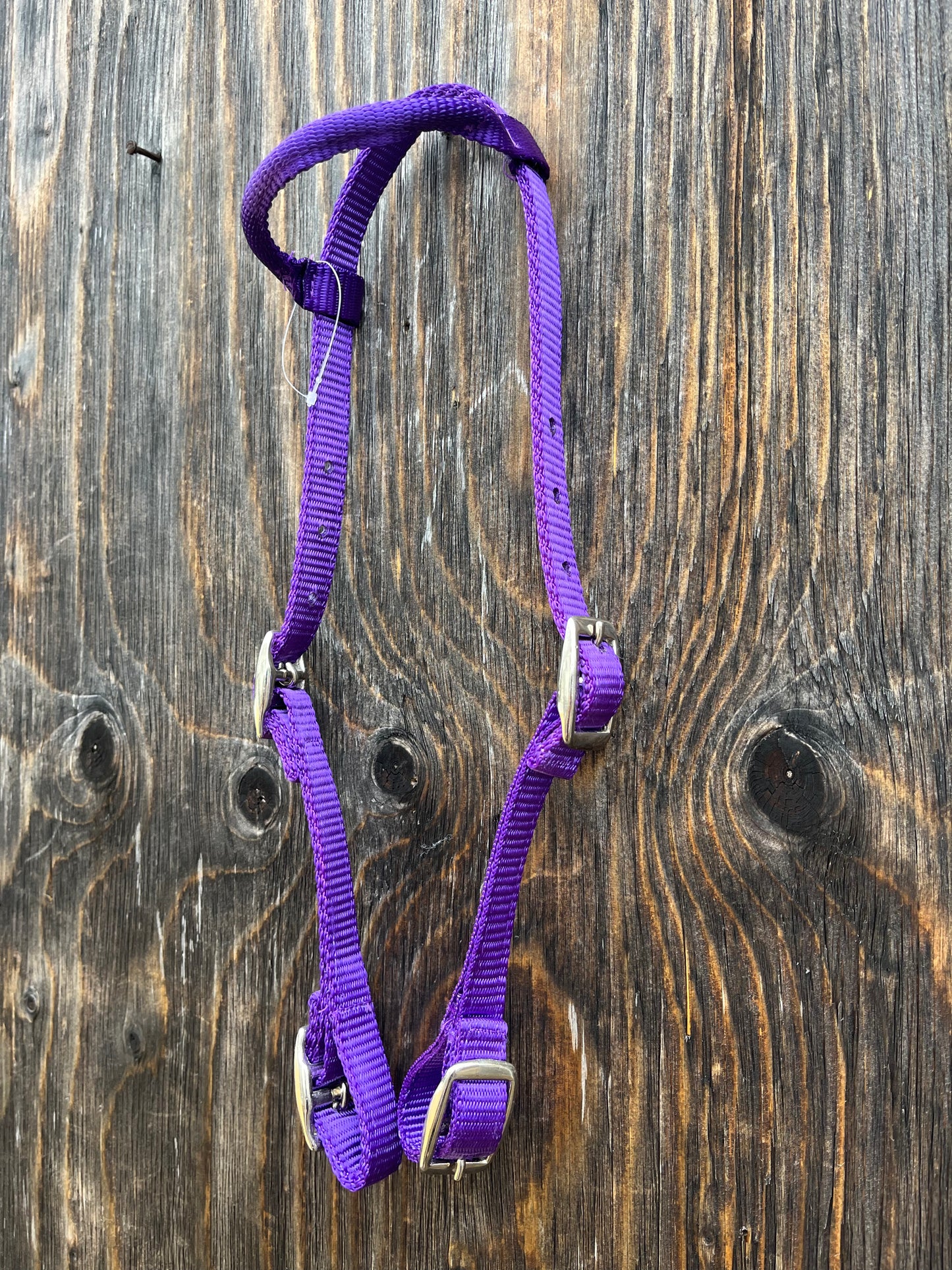 Pony one ear quick change nylon purple headstall