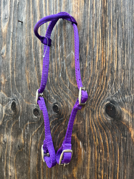 Pony one ear quick change nylon purple headstall