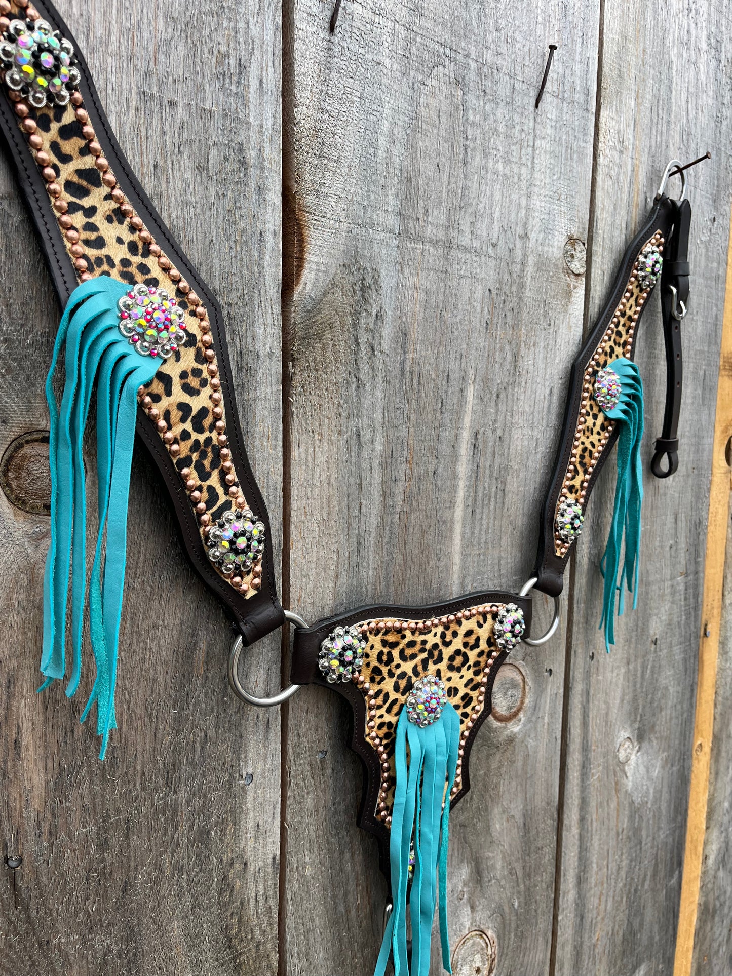Large to draft cheetah gladiator breastcollar