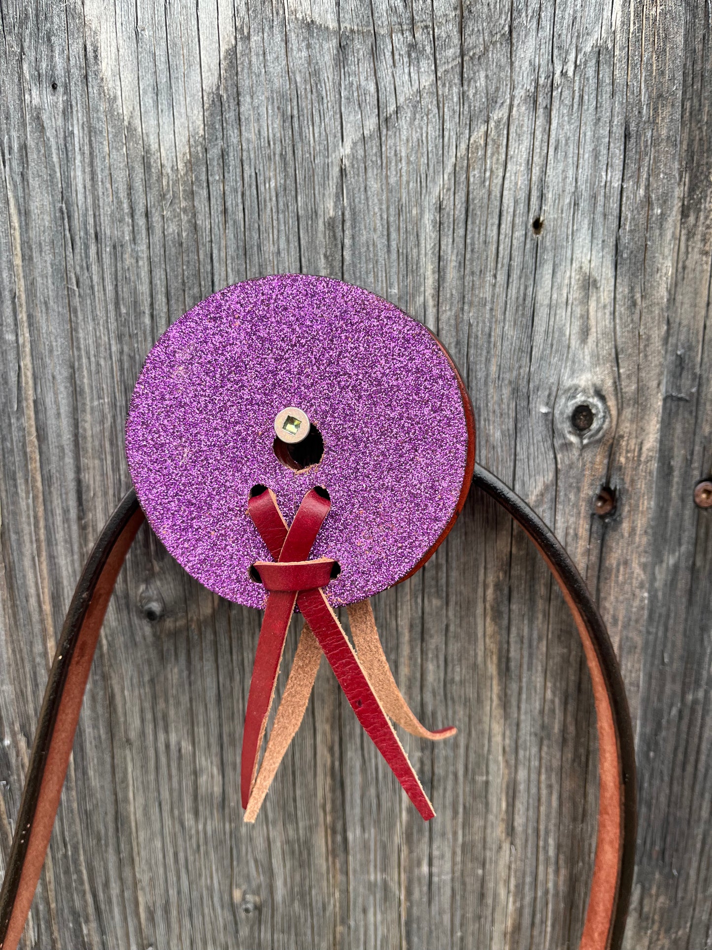 Purple glitter bit guards
