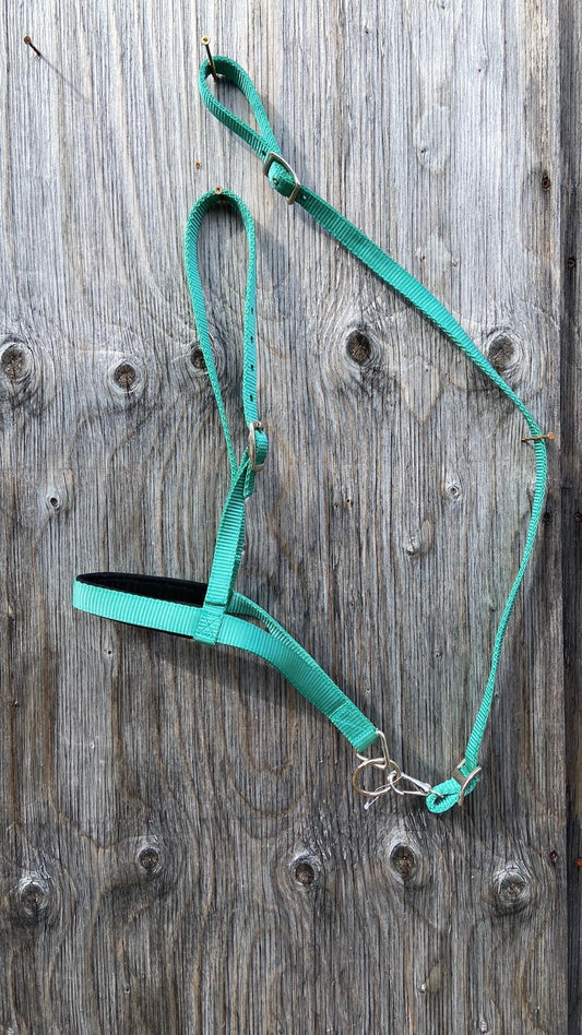 Teal noseband and tie down set