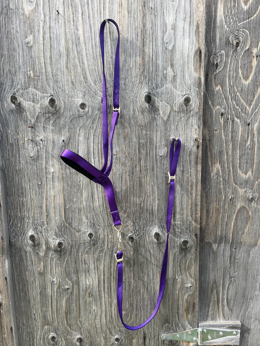 Purple nylon noseband and tie down set