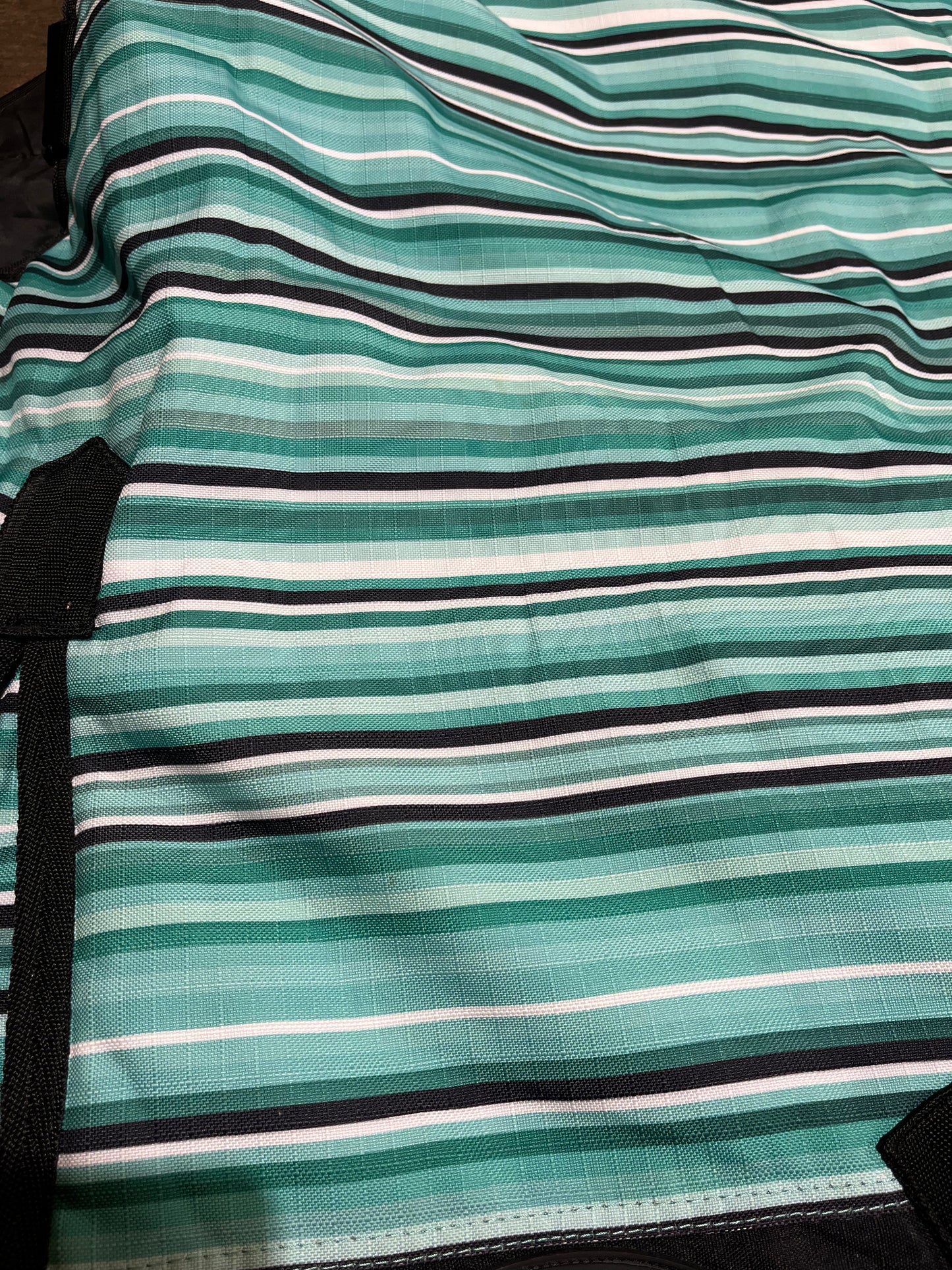 76” teal serape gently used looks next to new winter turnout