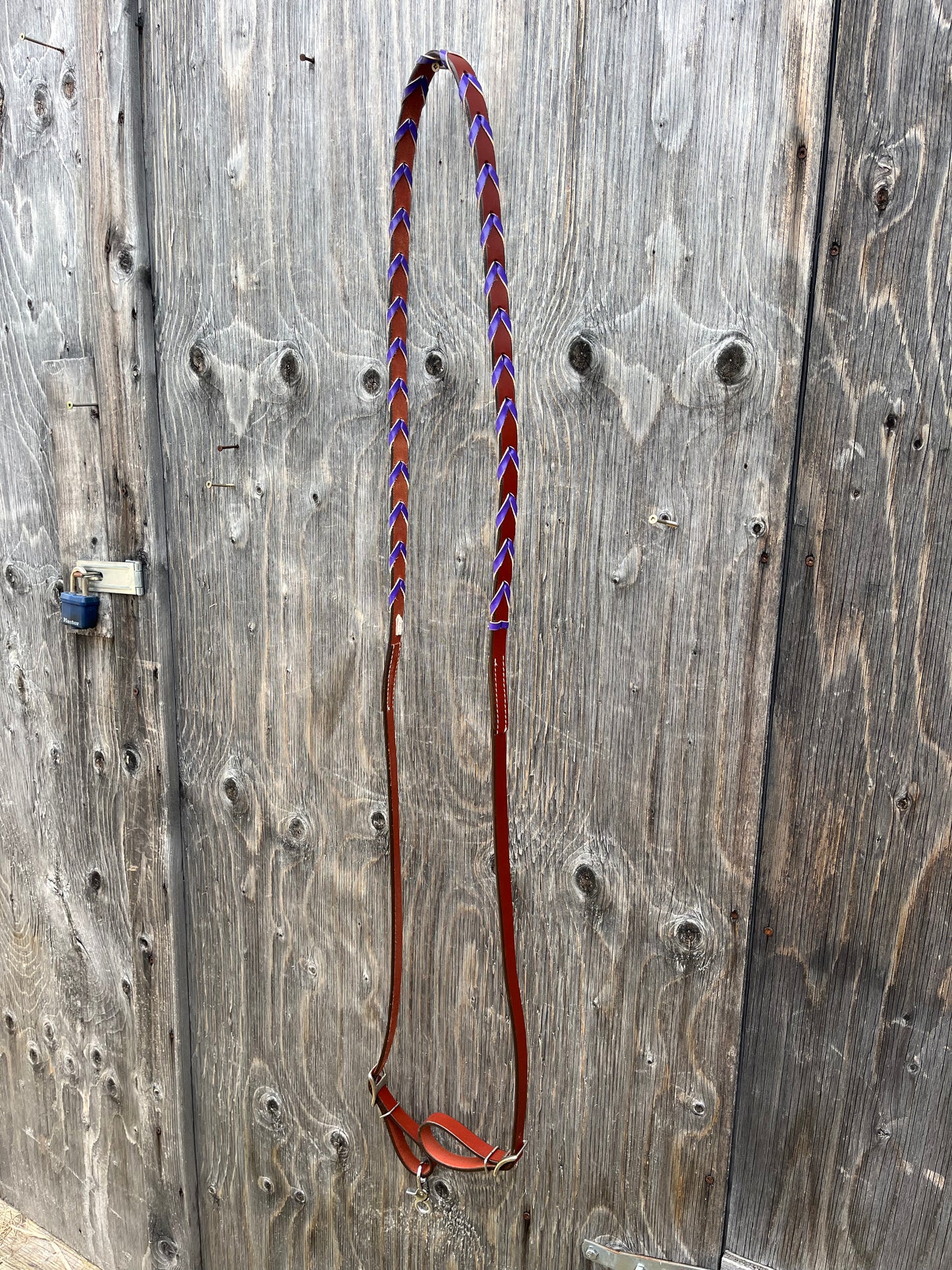 Laced colored barrel reins
