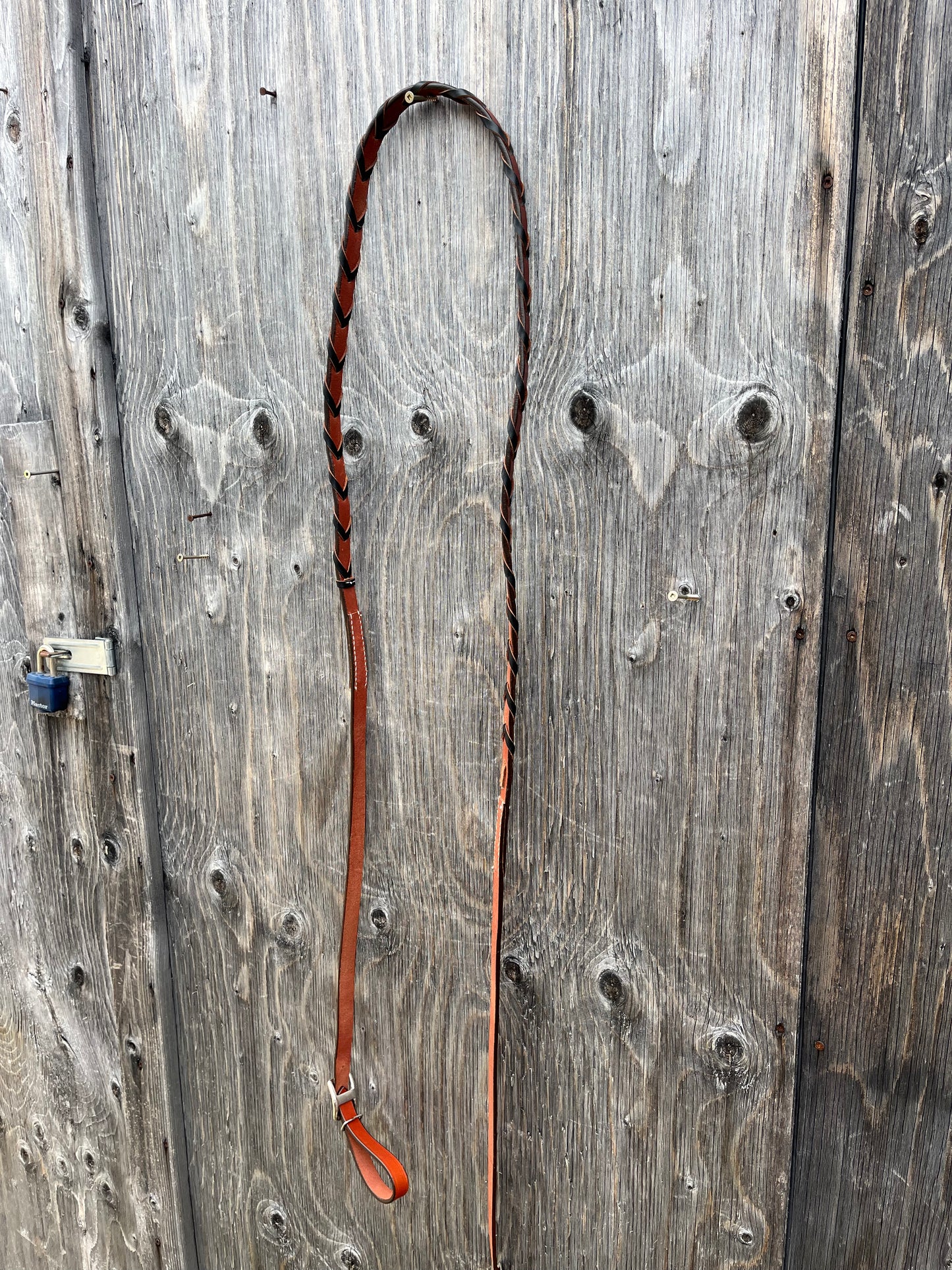 Laced colored barrel reins