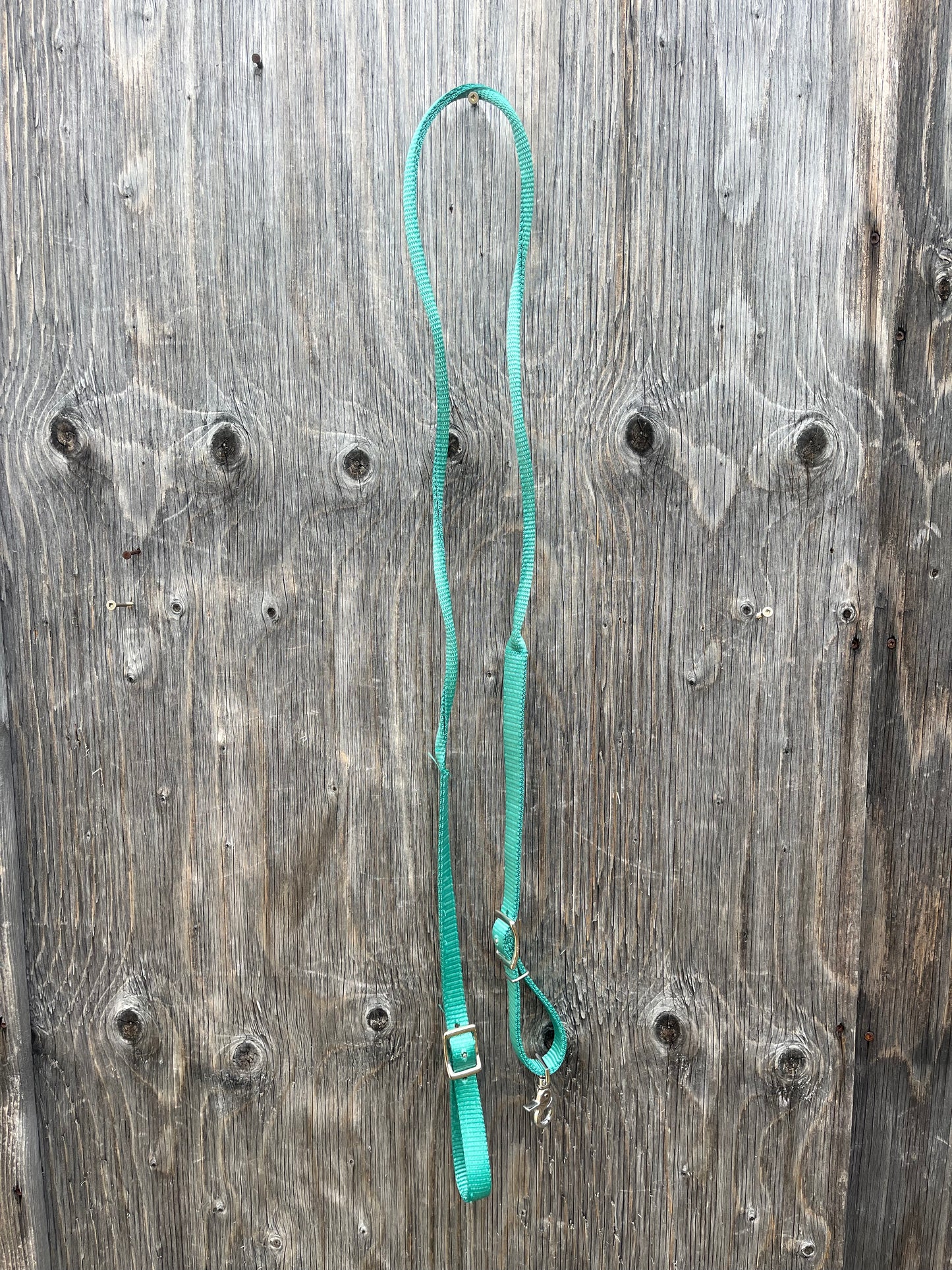 Teal pony reins
