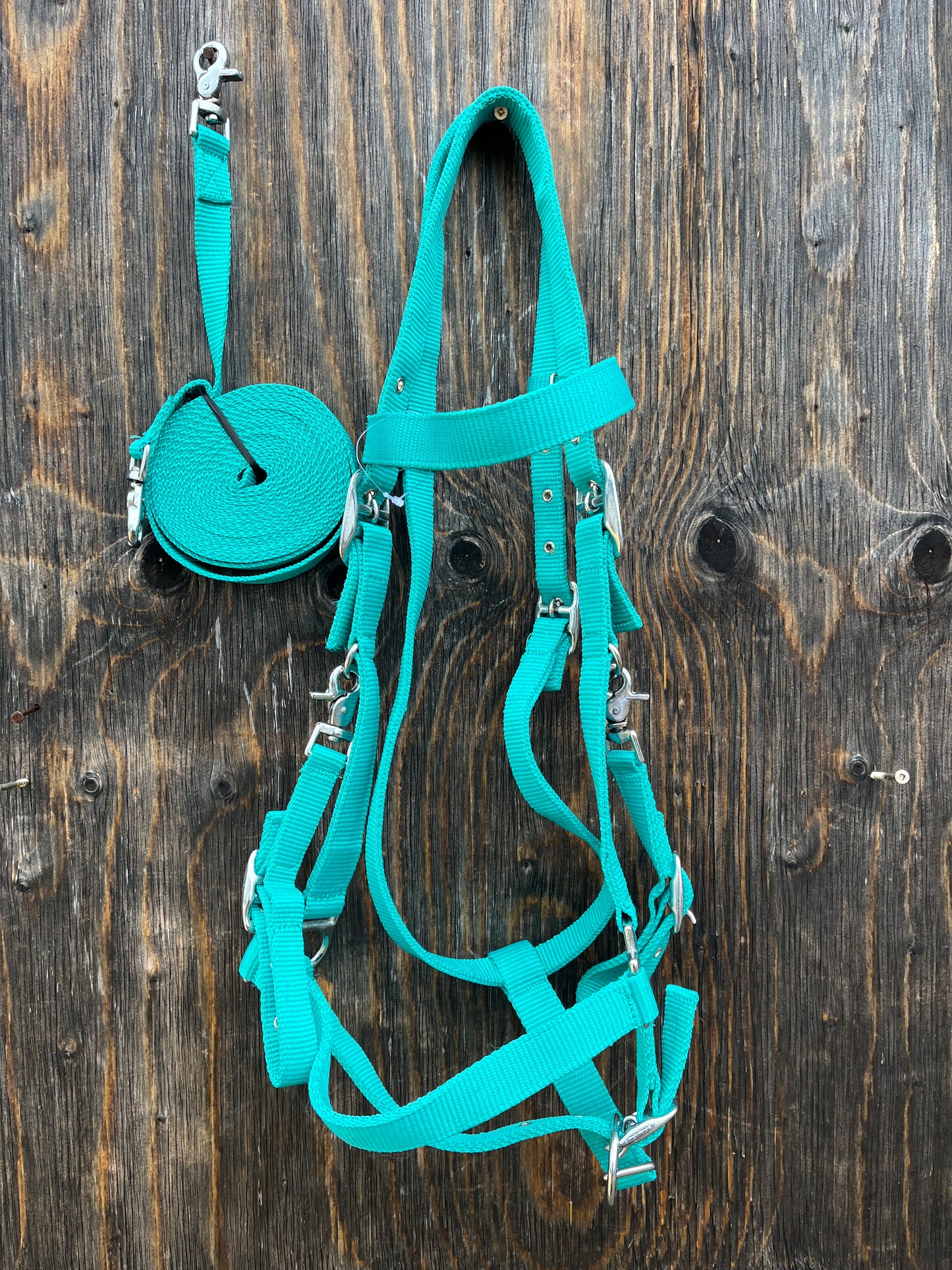 Teal trail halter bridle with matching reins and removable cheeks so you can ride with or without a bit