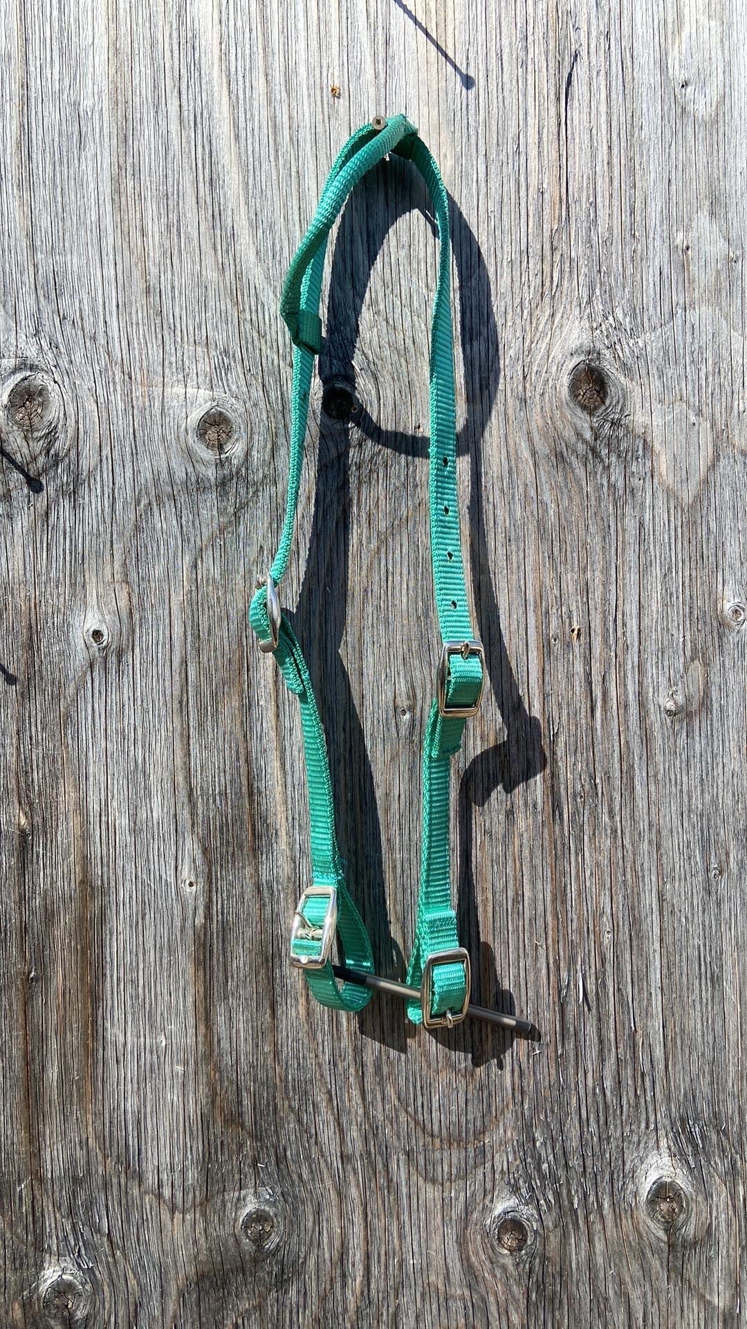 Teal nylon quick change one ear