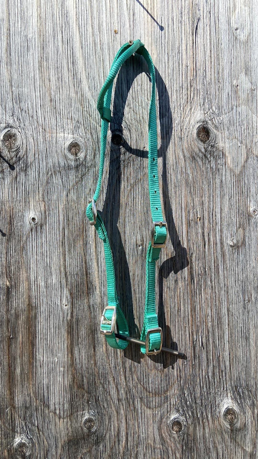 Teal nylon quick change one ear